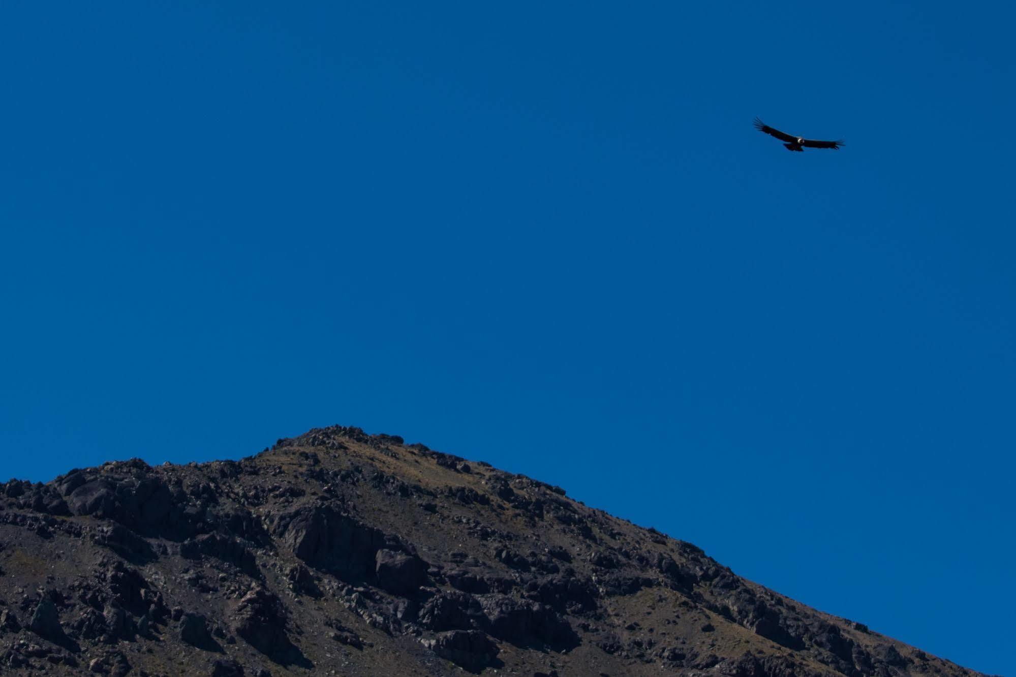 Noi Puma Lodge Machalí المظهر الخارجي الصورة